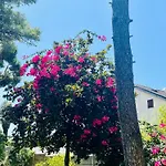 Villa Greg Stupenda Casa Sulla Con Accesso Diretto Al Mare Terracina